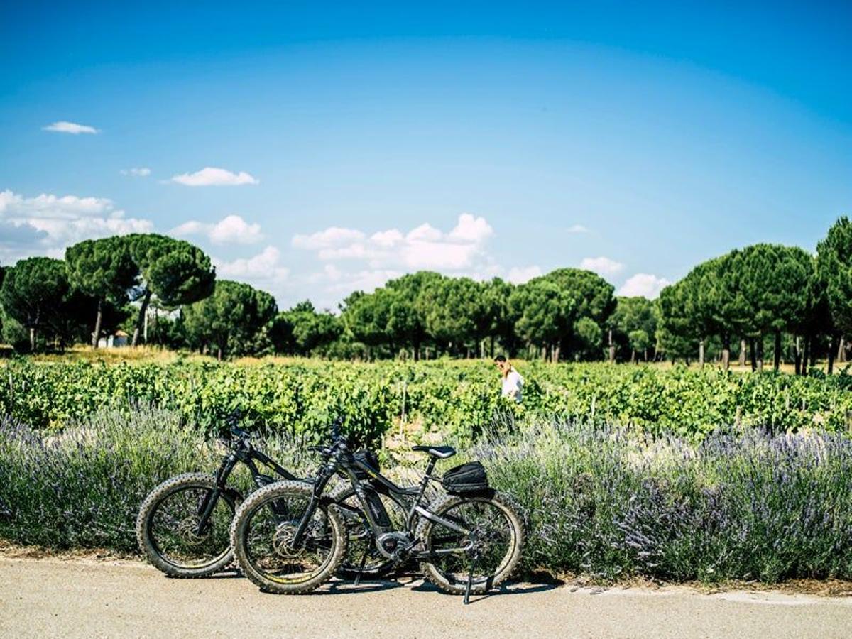 Abadía Retuerta LeDomaine