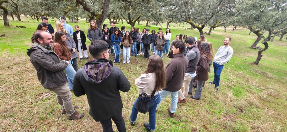 Estudiantes de la UCO conocen la dehesa de Los Pedroches, en la Feria del Jamón.