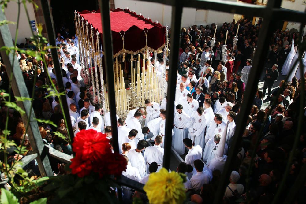 Domingo de Ramos | Salutación