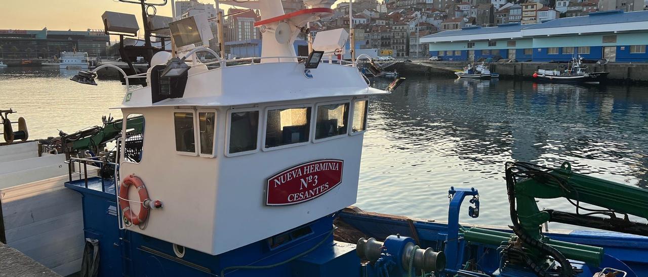 Un cerquero, amarrado en el puerto de Vigo esta semana.
