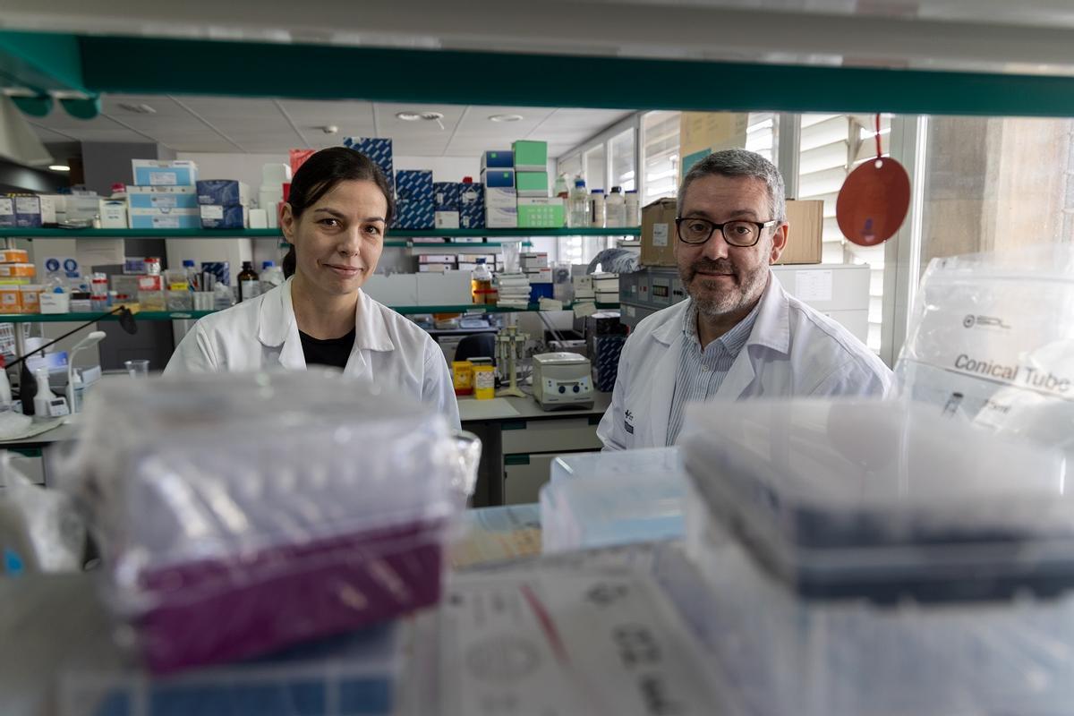 Investigadores de ISABIAL rastrean en sangre marcadores para detectar antes la ELA