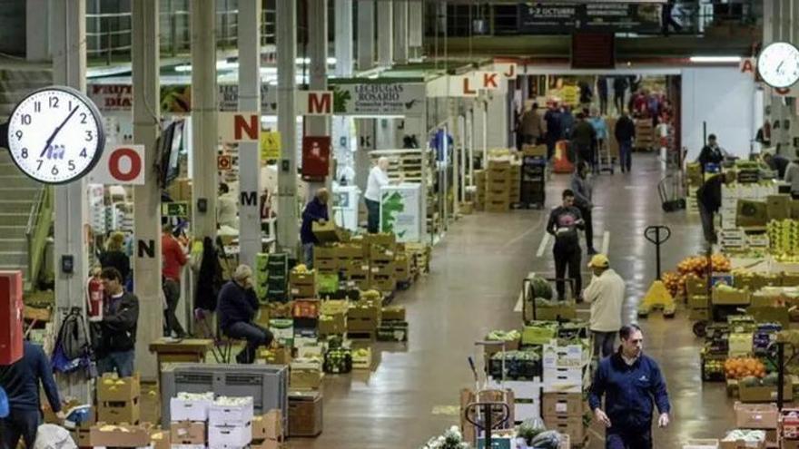 Tenerife Council Designates Mercatenerife Critical Infrastructure Amid New Infrastructure and Heritage Investments