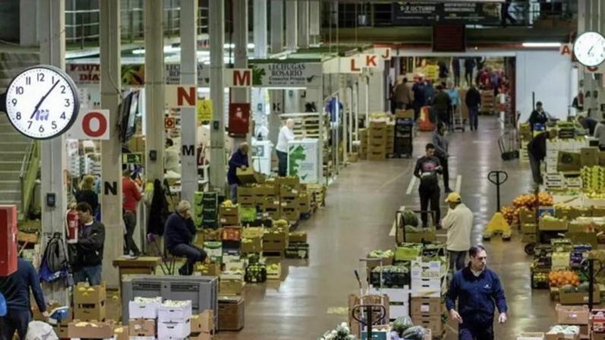 Las instalaciones de Mercatenerife.