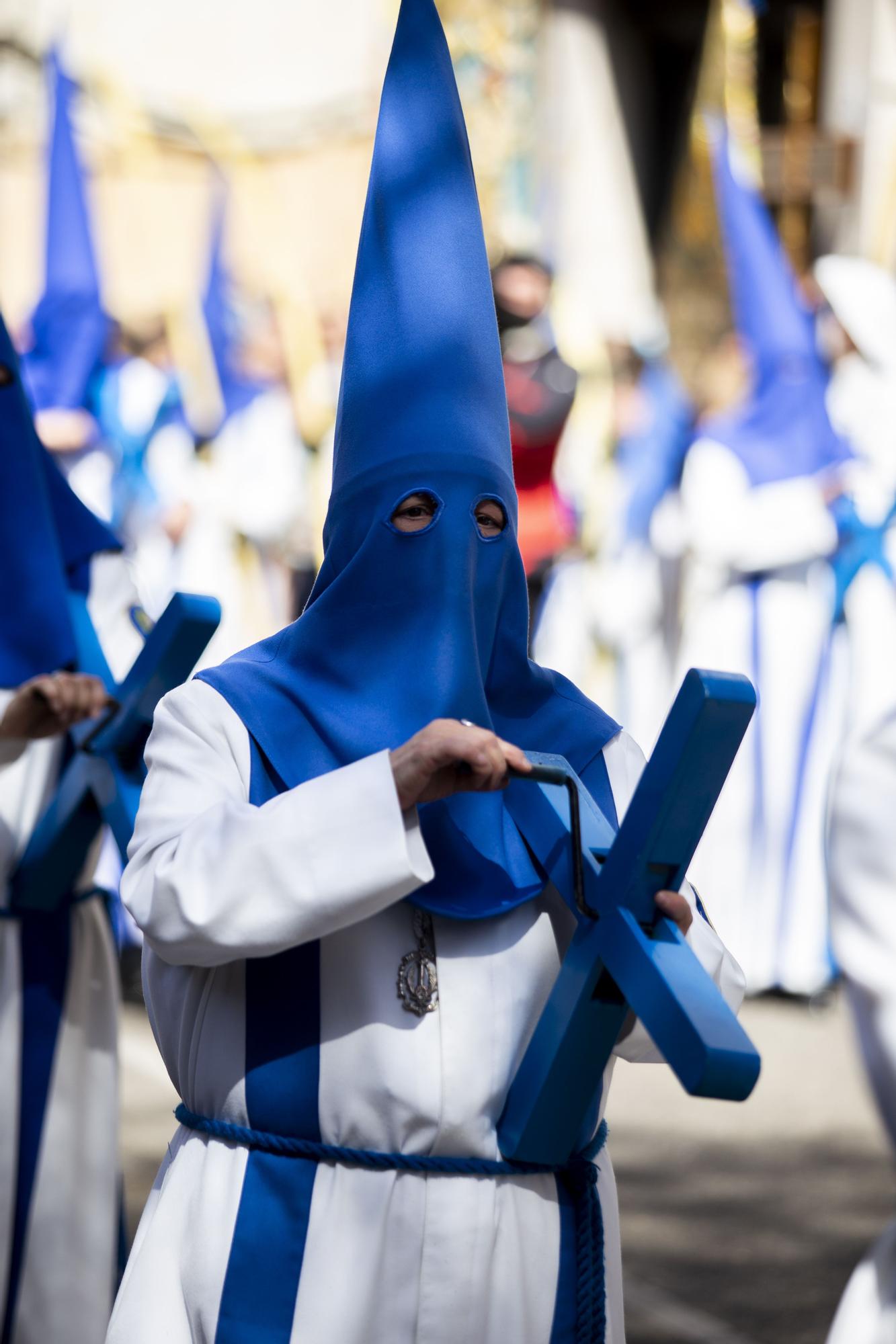 El Domingo de Ramos de Zaragoza, en imágenes