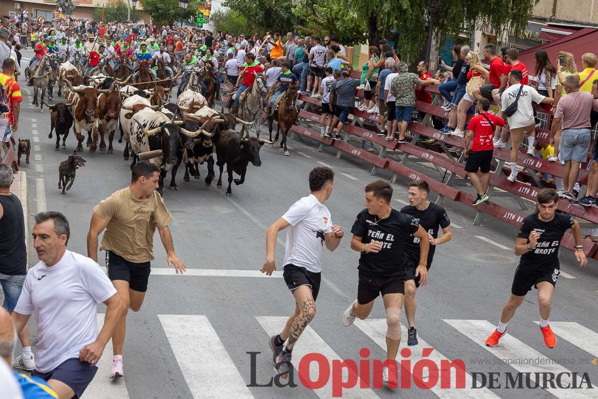 Cuarto encierro en las Fiestas de Moratalla