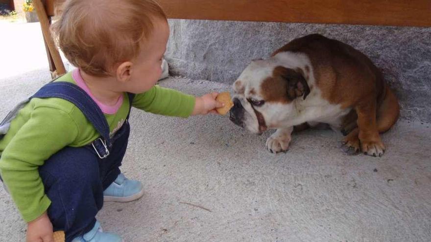 Un niño le ofrece una galleta a su perro.// R. Estévez