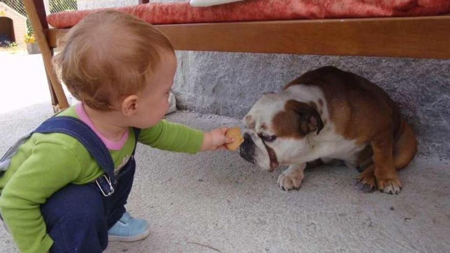 Un estudio constata la influencia de las mascotas en el desarrollo emocional de los niños
