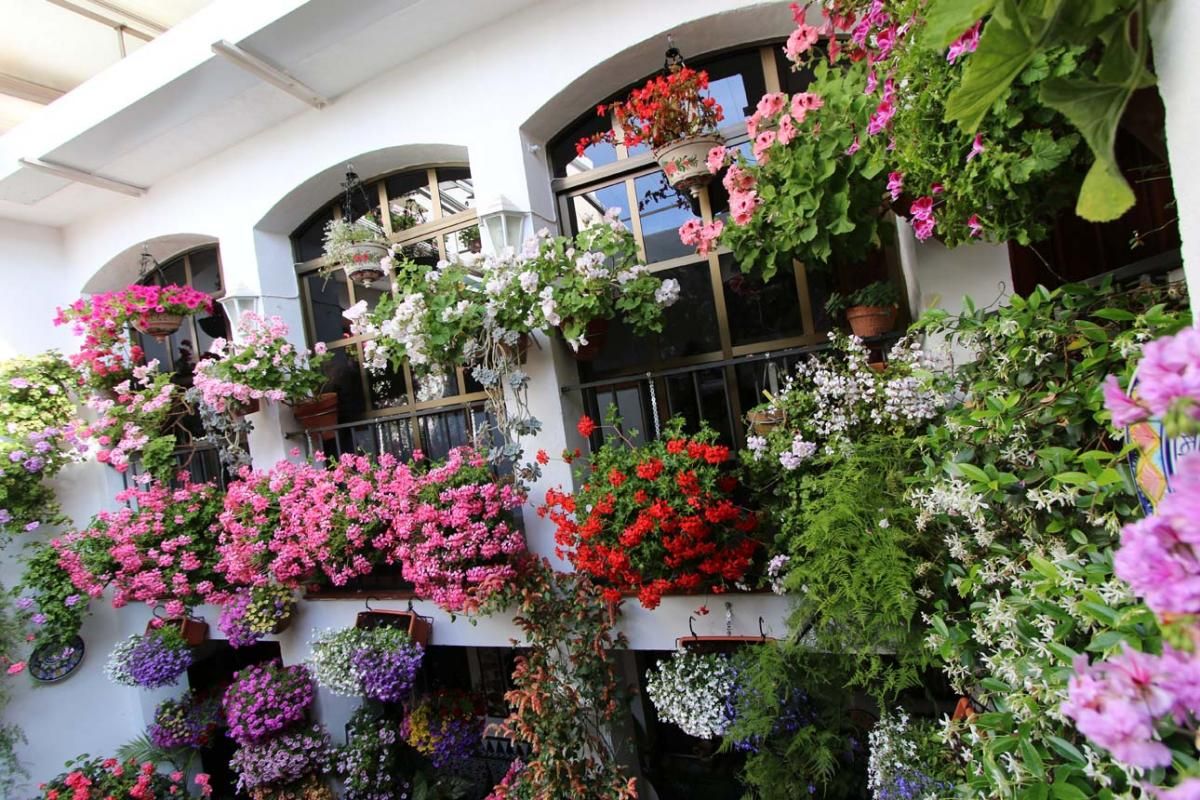 Los patios de Córdoba: las mejores fotos en San Agustín