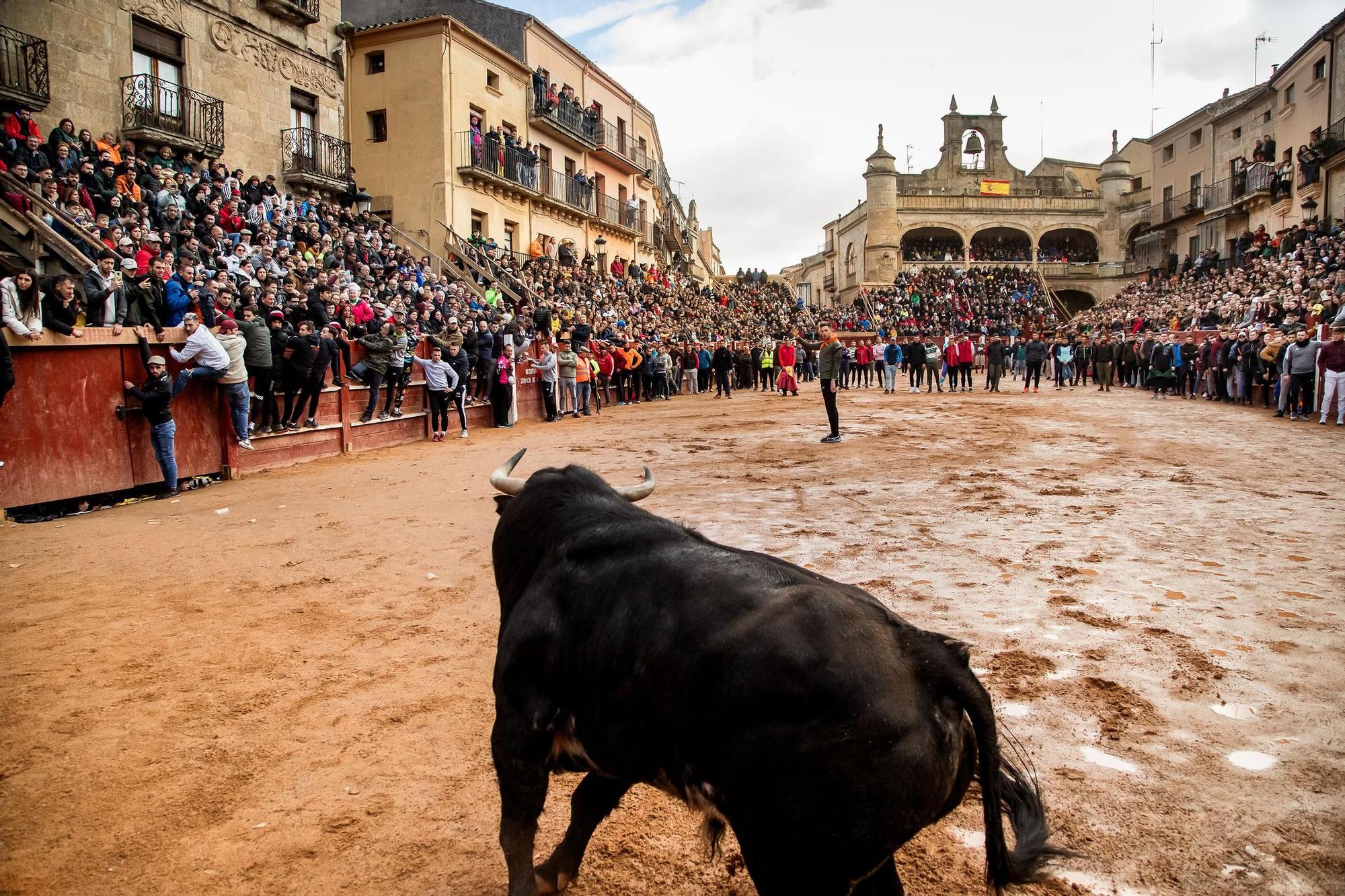 GALERÍA: Cinco heridos durante el encierro de Orive en el Carnaval del Toro de Ciudad Rodrigo