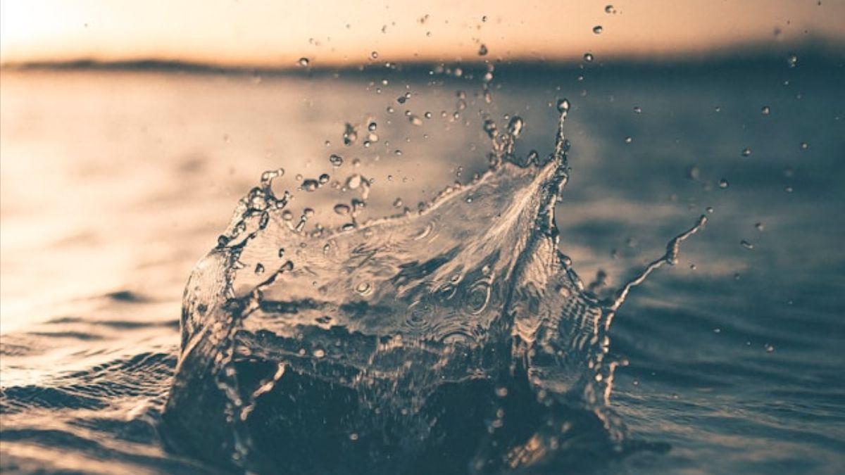 AGUA / Lagartos del desierto inspiran un sistema que recolecta agua del suelo y la purifica