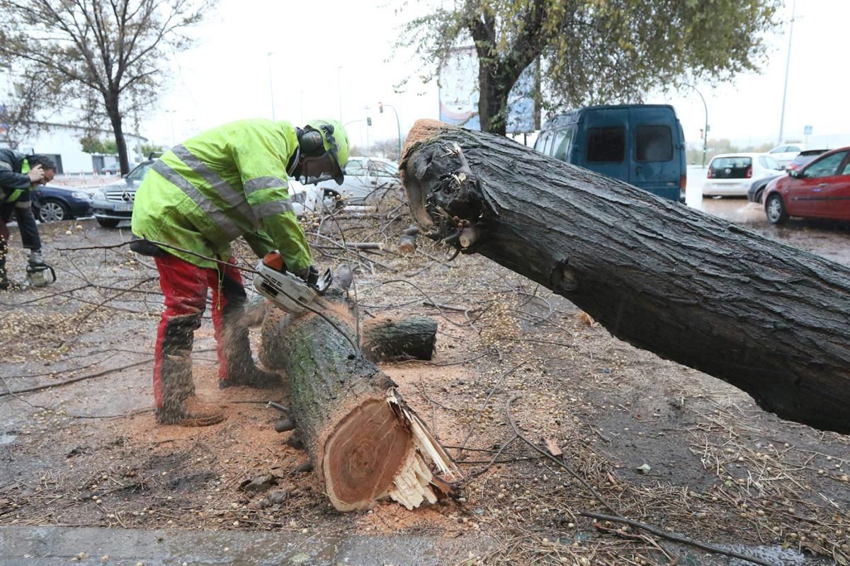 La borrasca 'Ana' deja su huella en Córdoba