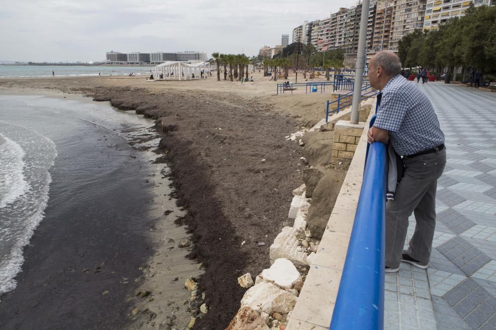 El temporal causa daños en las playas de Alicante