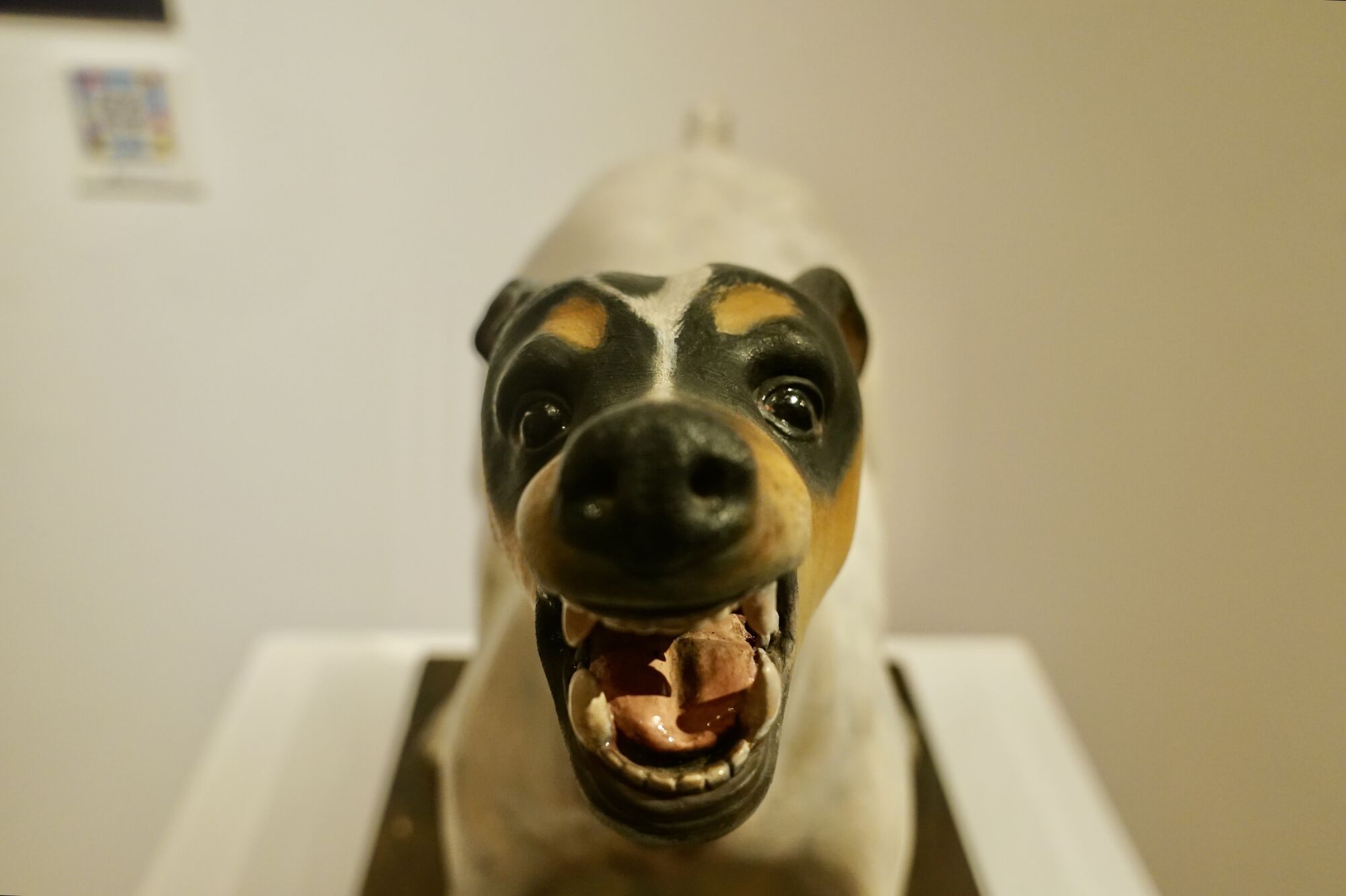 Exposición del Dulce Nombre en el Museo Jesús Castellanos de la Agrupación de Cofradías