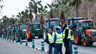 Las primeras tractoradas por la crisis del campo llegan a València