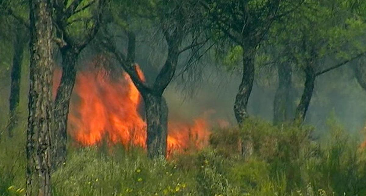 Incendio en Huelva