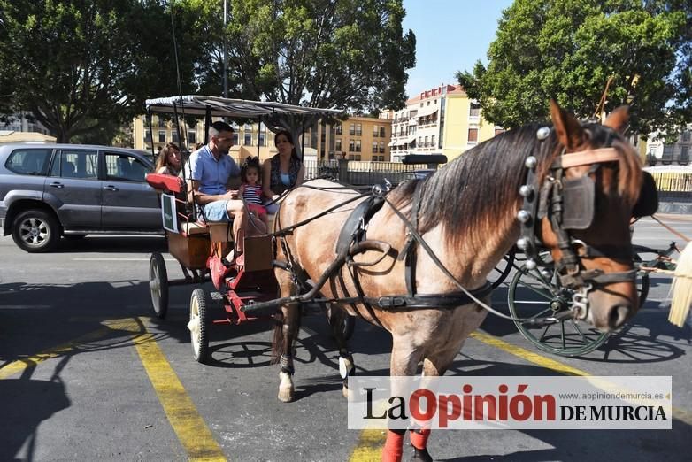 Ruta a caballo desde la ciudad al corazón de la hu