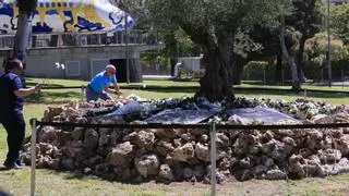 Supervivientes y familiares de las víctimas del accidente de Spanair denuncian el bloqueo a la investigación