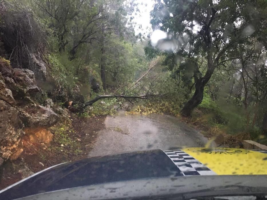 Efectos del temporal en la Safor