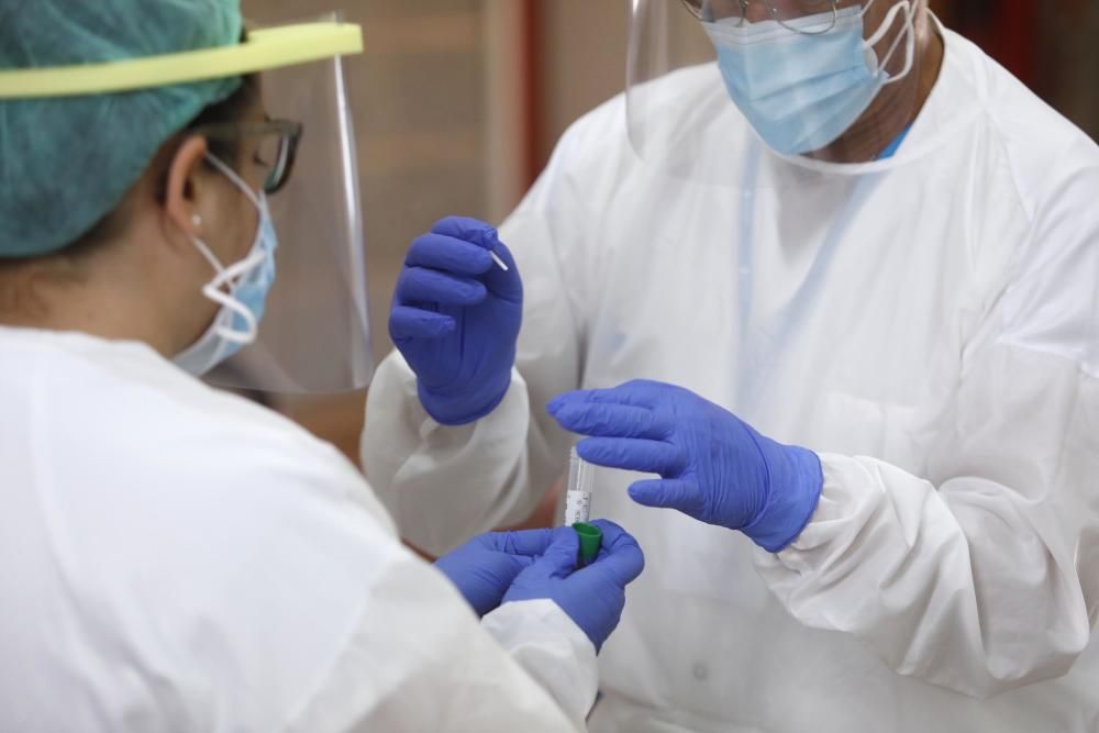 Extracció de mostres PCR a l'escola Bell-lloc de Girona