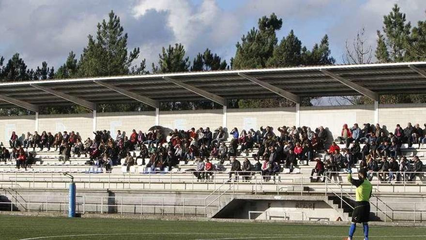 En el campo de O Lodairo, en Cea, se registró el primero de los hurtos denunciados. // Jesús Regal