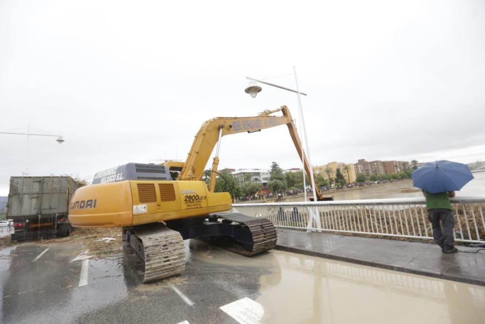 El Segura, en Murcia, a punto de desbordarse