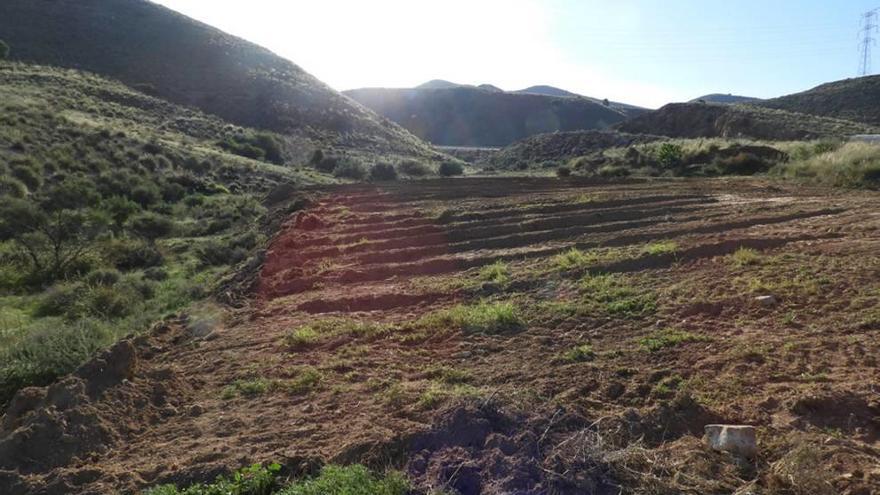 Espacio natural roturado en la sierra de la Almenara.