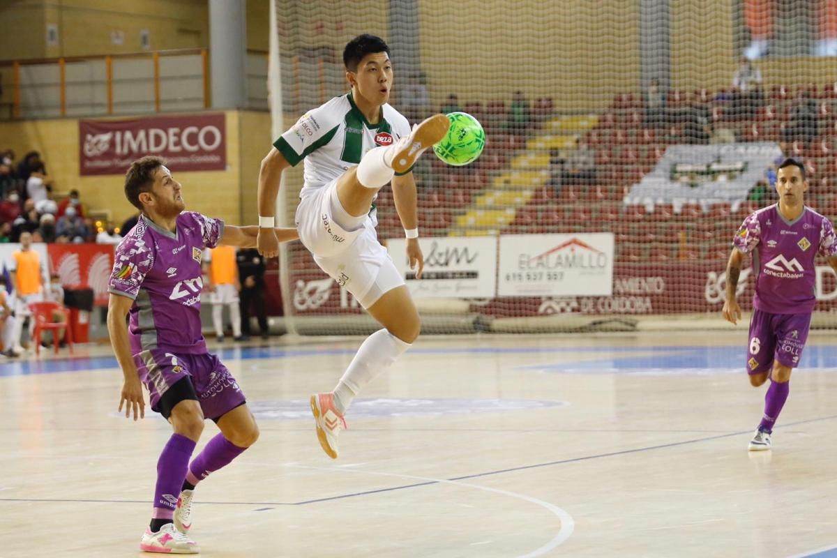 Las imágenes del Córdoba Patrimonio-Palma Futsal