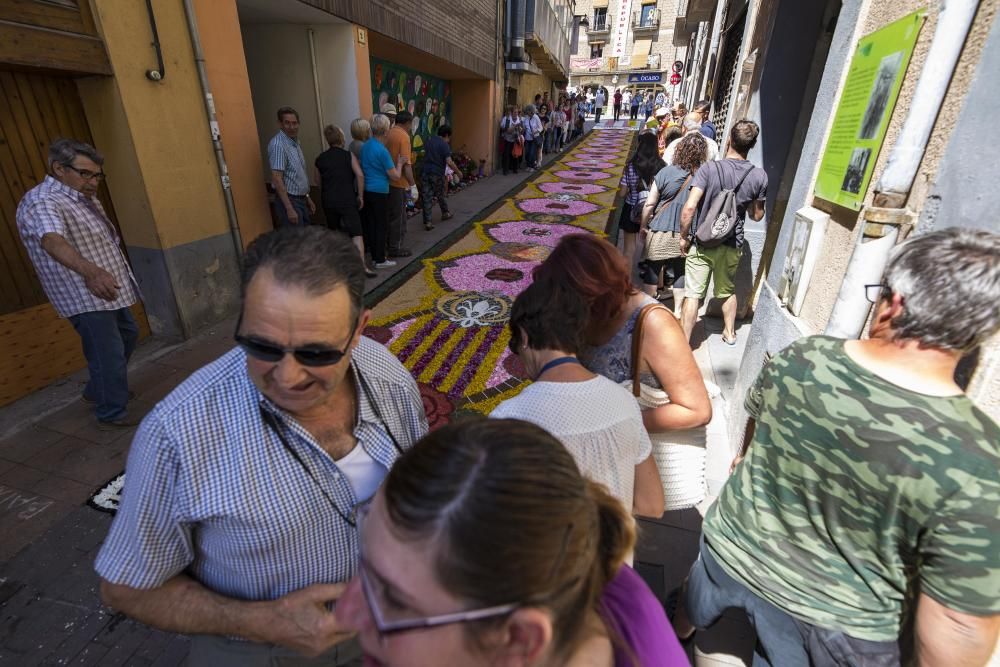 El concurs de catifes de flors naturals omple Arbúcies