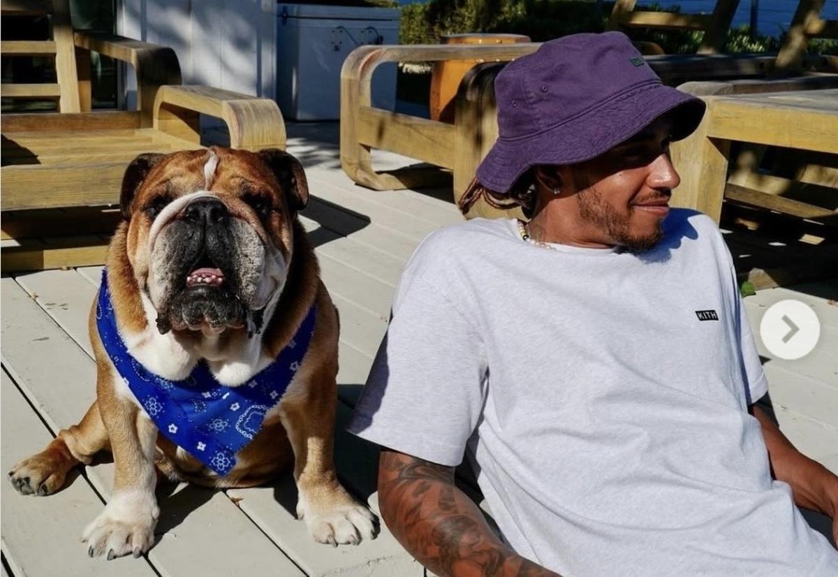 Lewis Hamilton, junto a su buldog Roscoe, ya fallecido, en una de sus mansiones.