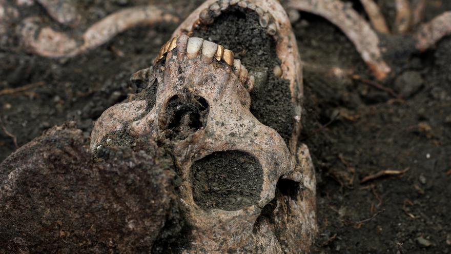 Roban un maxilar con dientes de oro de uno de los represaliados de las fosas de Víznar