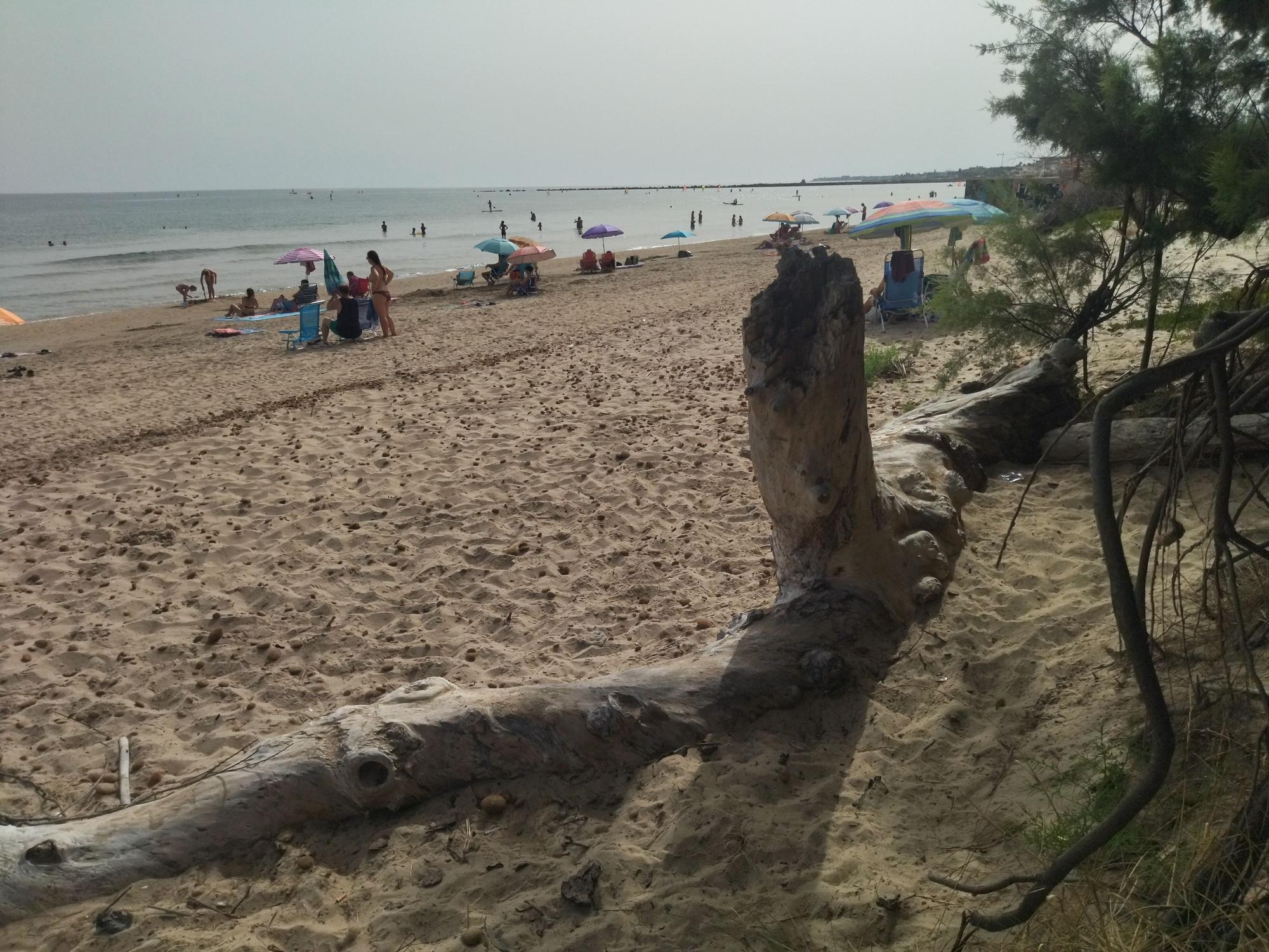 Imágenes: último verano sin arena en la playa de les Deveses de Dénia