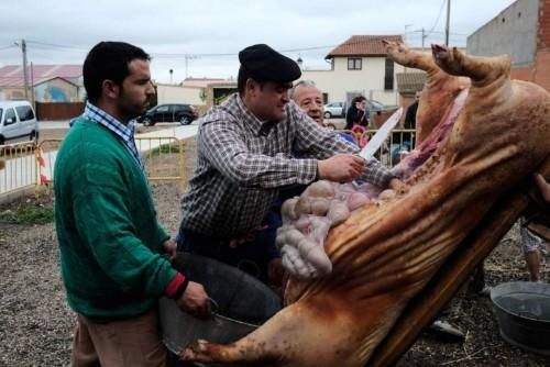 Matanza tradicional en Monfarracinos