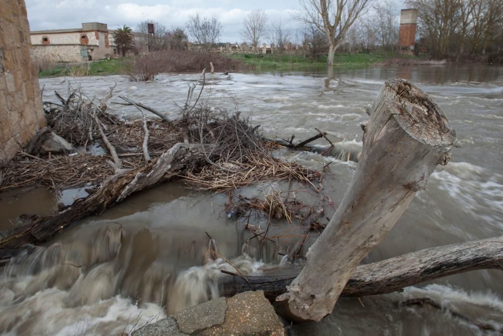 Crecida del Duero en los Pelambres