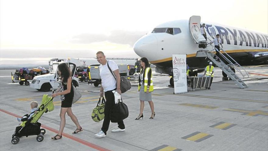 La «superreserva» de conejos pone en riesgo vuelos en el aeropuerto