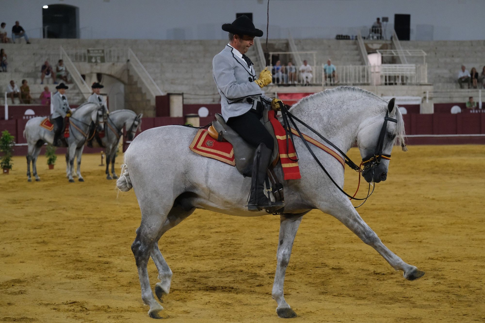 Los caballos andaluces bailan sobre el albero de La Malagueta