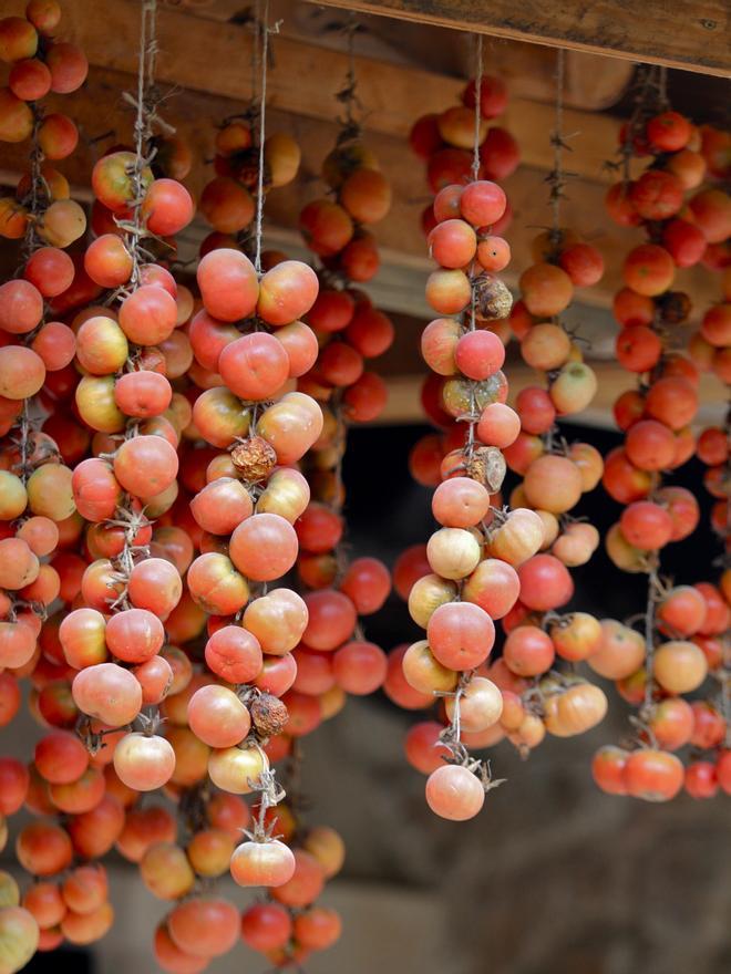 Oft eher gelblich, dicke Haut: an Schnüren befestigte Ramallet-Tomaten einer alten Sorte.