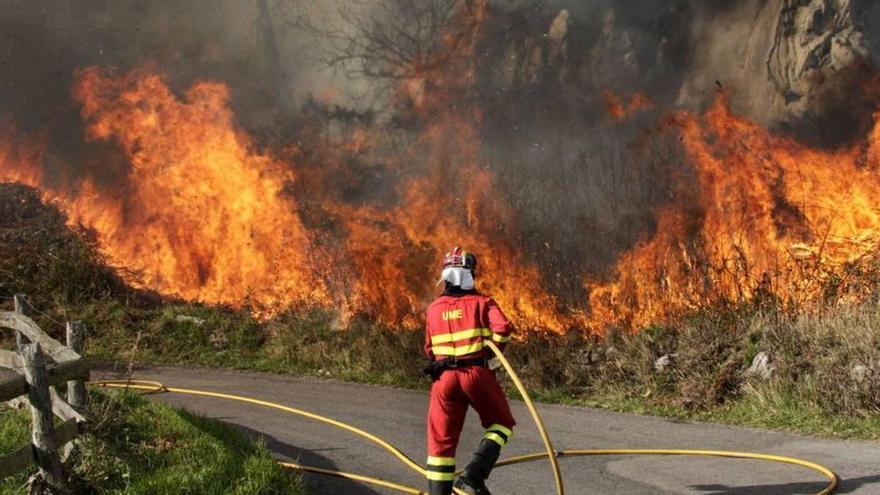 Un hombre de 49 años, el causante de tres incendios en Tenerife