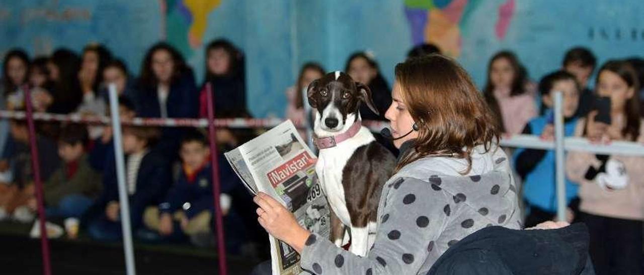 Unao de los perros participantes en la exhibición de ayer. // G. Santos