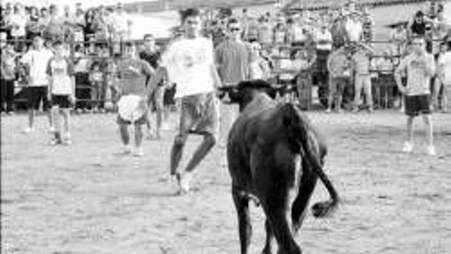 Campo Lugar cierra la feria con una suelta de vaquillas