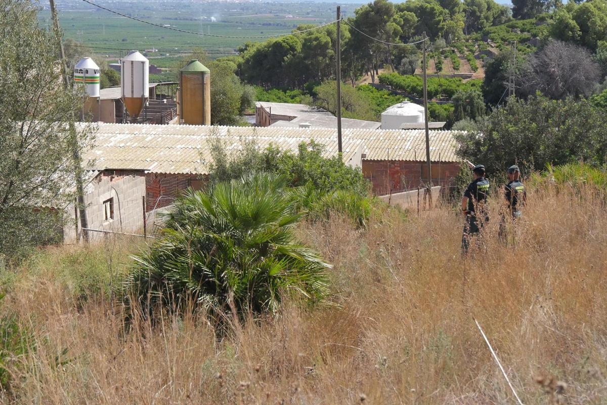 El escenario de uno de los mayores vertidos de purines: un desastre medioambiental