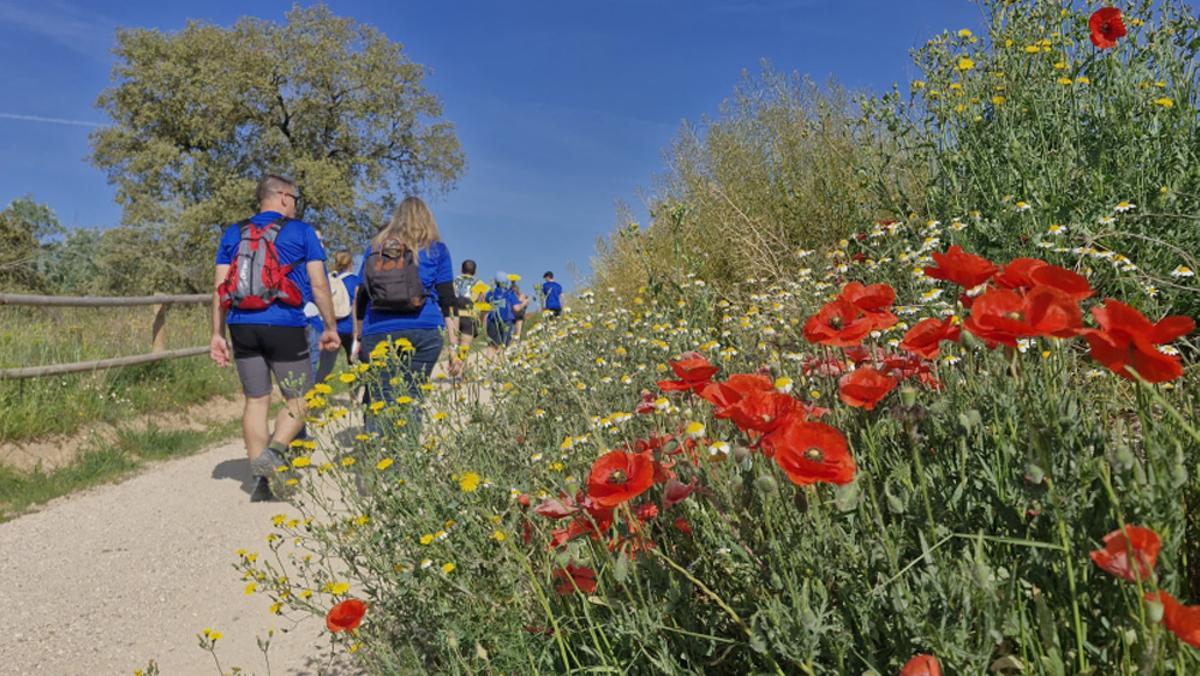 Participants a la caminada i biciclitada de la via blava de l'Anoia