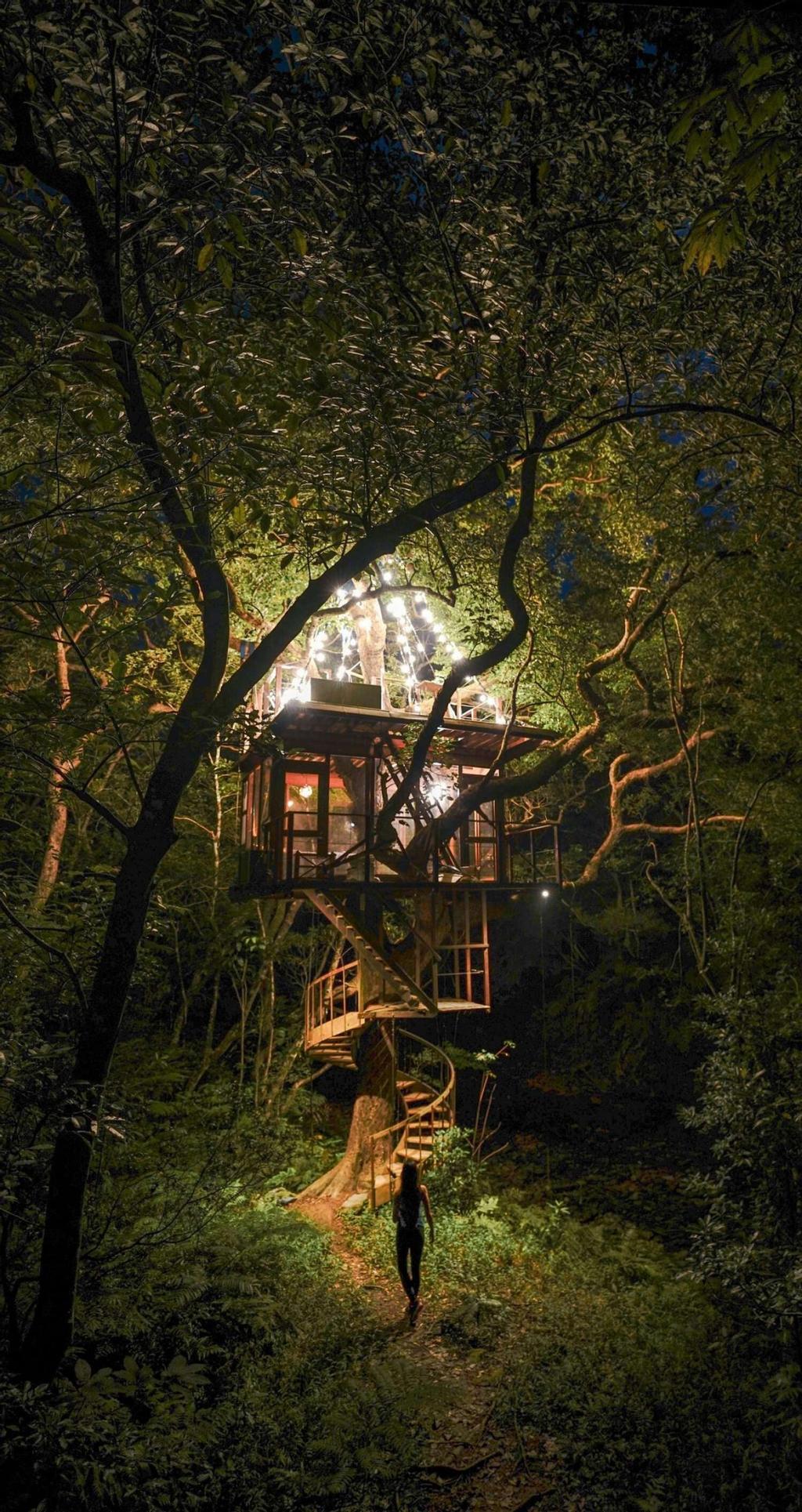Treeful Treehouse Sustainable Resort