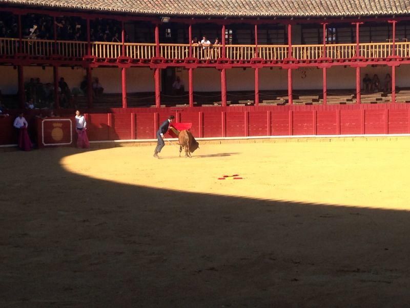 Fiestas en Toro | Becerrada de las peñas