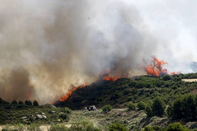 Fotogalería del incendio en el término de Luna en las Cinco Villas