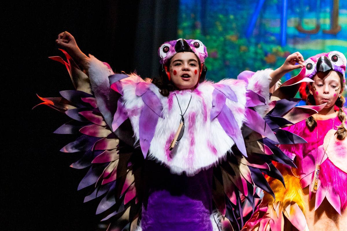 Una murga y pico. Infantil, séptima preliminar del COAC Málaga 2026