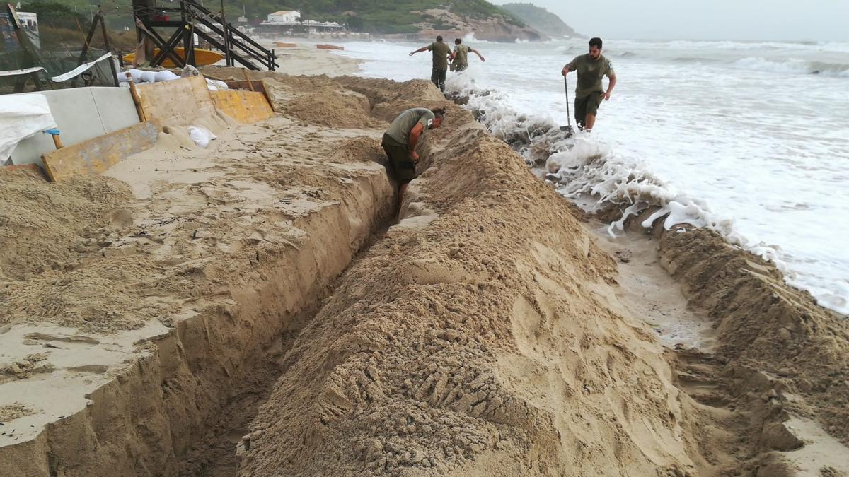 Así trabajaron los voluntarios para evitar que el temporal acabe con los nidos de tortugas