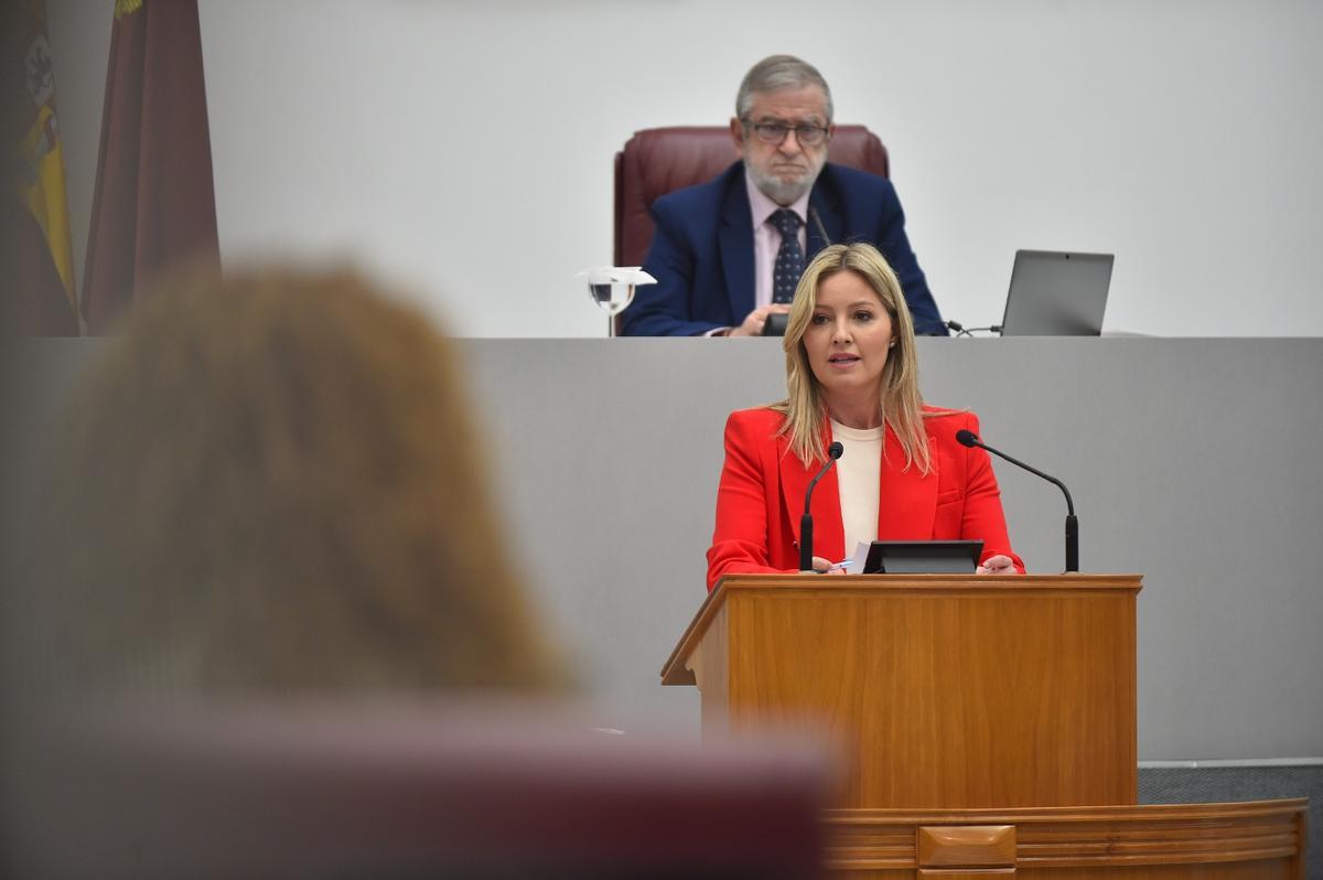 Los diputados han recordado que el actual Gobierno del PP “es ilegítimo porque está sustentado exclusivamente por personas expulsadas de sus partidos, que únicamente se representan a sí mismos”