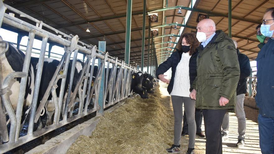 La Junta auxilia a los ganaderos de vacuno de leche con una partida de 5,2 millones de euros
