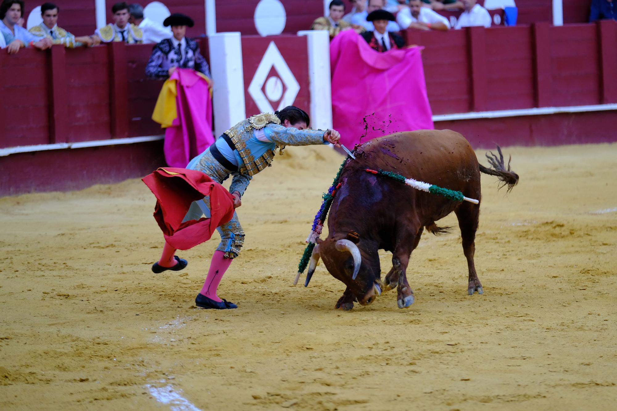 Toros en la Feria I Octava corrida de abono en la Malagueta:  2ª Semifinal de las Escuelas Taurinas