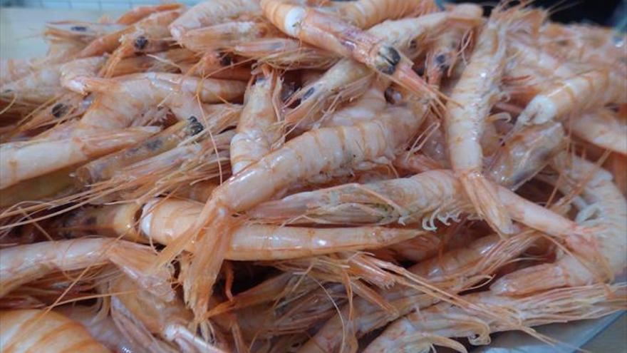 Gambas plancha